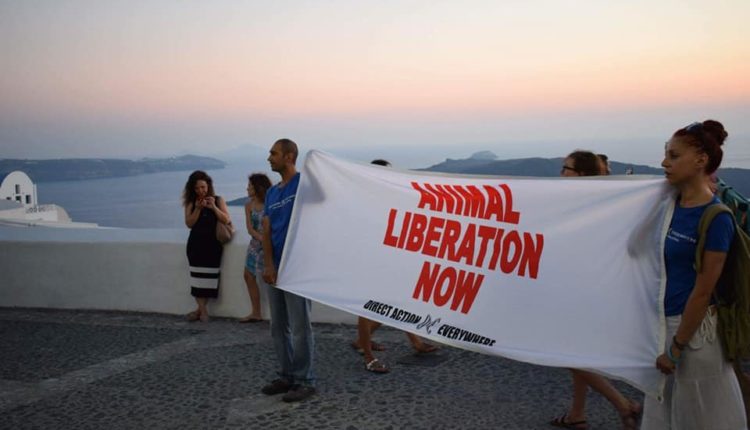 activists 2