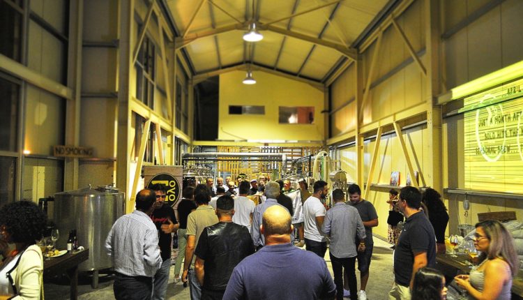 Solo Brewery Creta 2