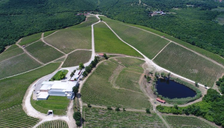 Ktima Kyr Gianni vineyards