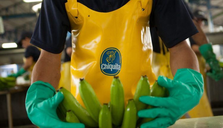 Chiquita bananas
