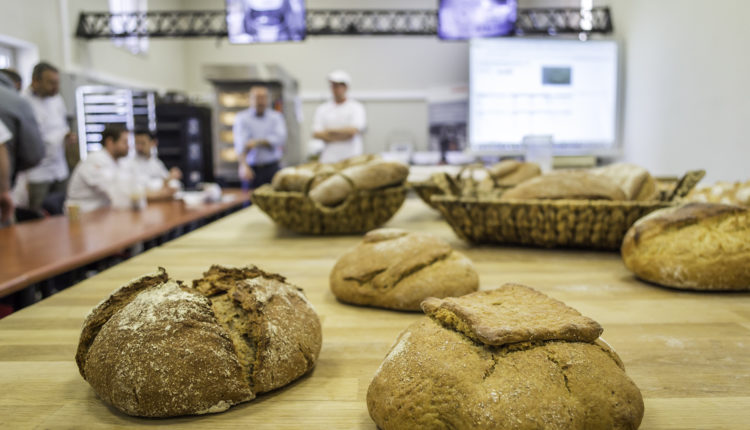 Bread seminar Creta 2019 c