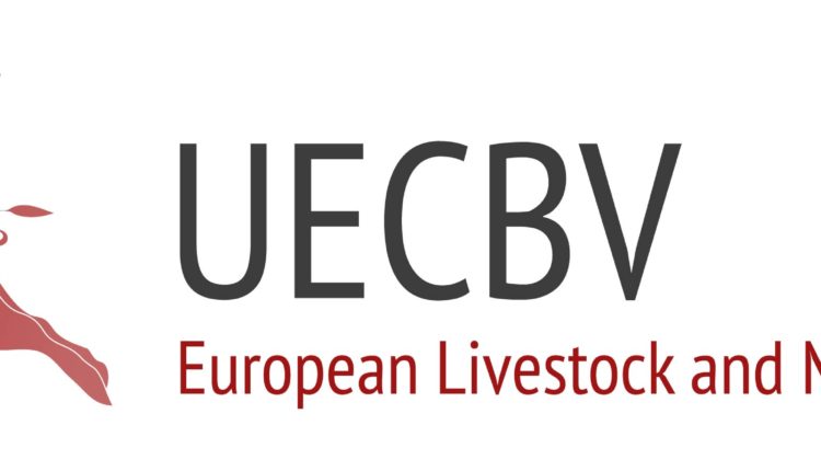 UCECBV-b