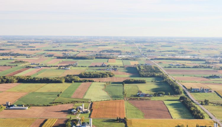 UBS Foor Report 2019 c