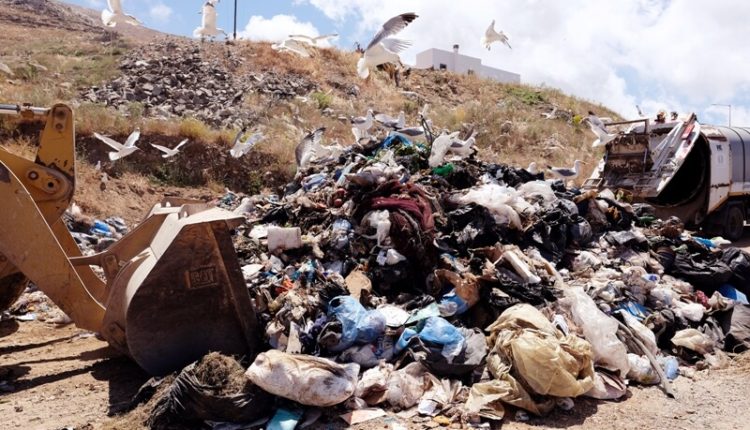 Waste audit