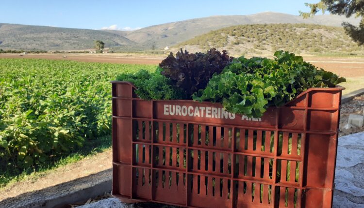eurocatering paragogoi