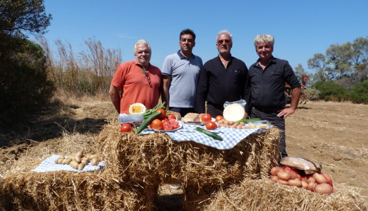 Food Experience Patata Naxou 2021 a