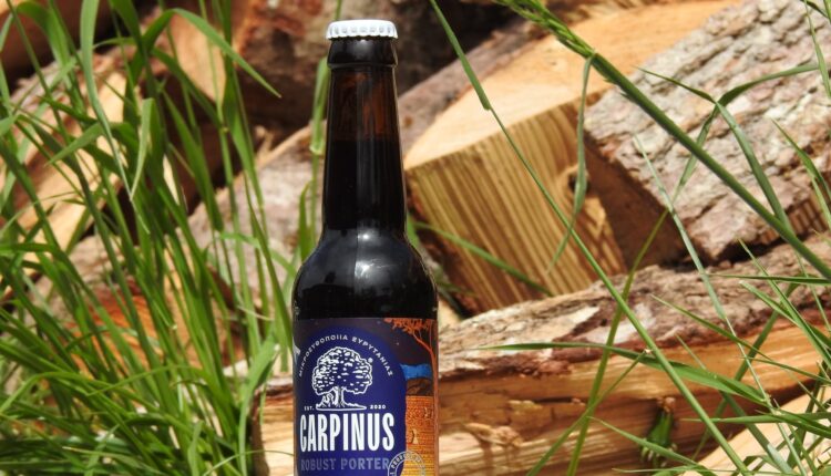 Carpinus robust beer